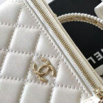 Chanel Long Vanity With Chain AP4452